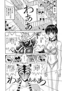 [Arai Kaikan] Denkou Shoujo-tai