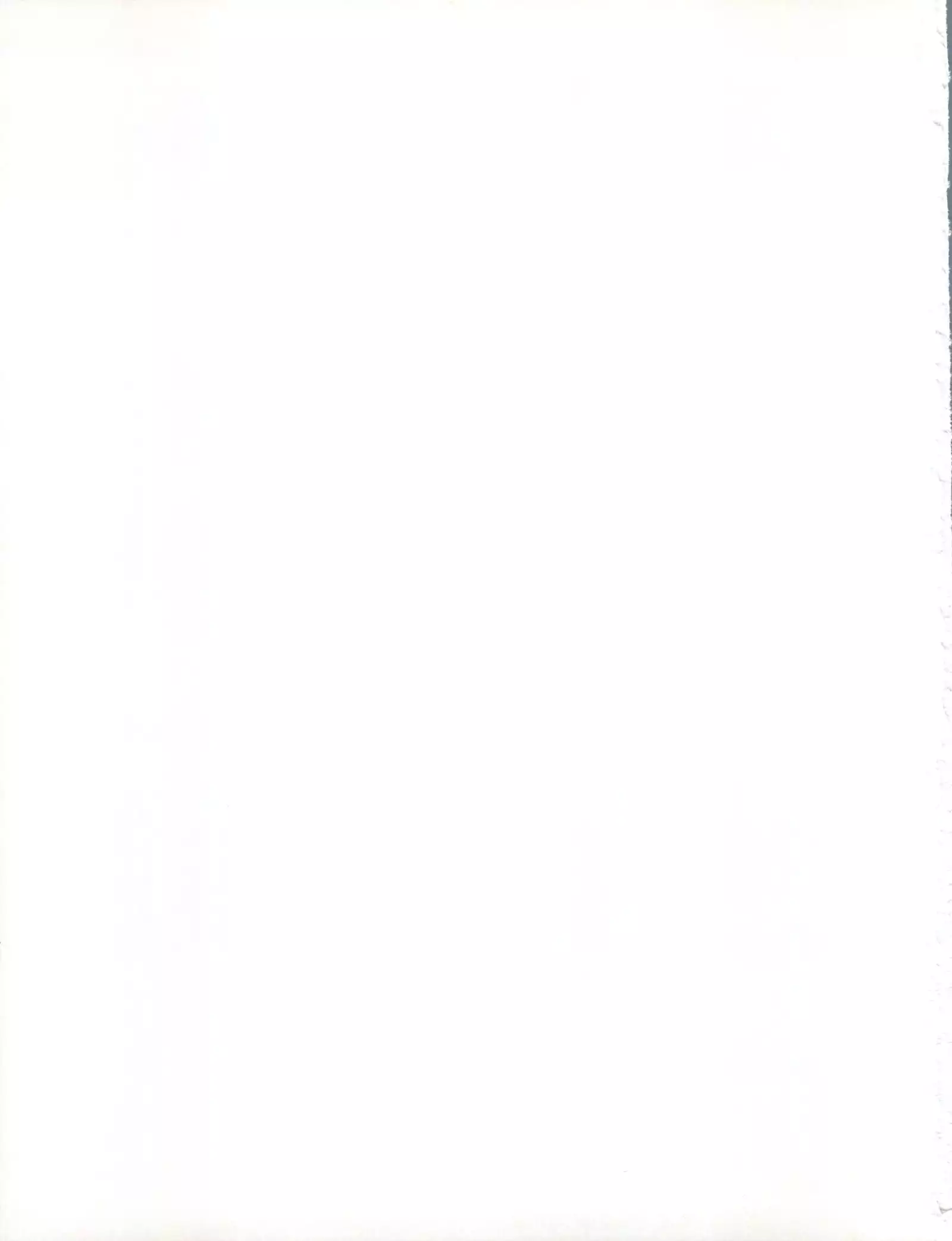 Zero Kara Hajimeru Inu no Shitsukekata