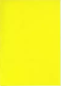 (C62) [ansai Kemono Rengou (Mita Kazuo)] KuroNeko Choukyouki (Black Cat)