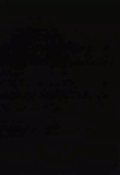 Yolki Palki Sakuhinshuu 2