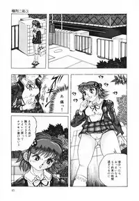 [Anthology] Oshioki! Dorobou Neko!!