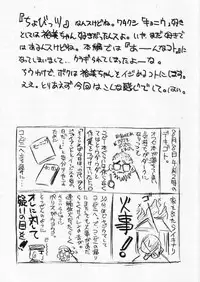 (C62) [Yakan Hikou (Inoue Tommy)] FOUL 3 (Chobits)