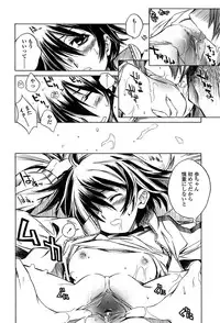 [Shinonome Tarou] Houjuu Onshitsu