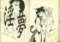 成年偵探軻楠11