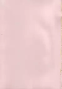 (C68) [Penguin San (Shinosaki Ariko)] CAPTIVE 2+