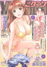 Monthly Vitaman 2007-11