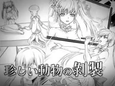 Mezurashii Doubutsu no Hakusei