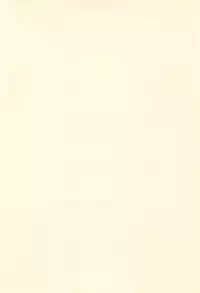 (C67) [Yanasegawabeya (KIYOSE, U-Tom)] LITTLE LOVERS 5