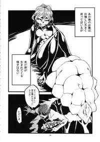 [Niku Drill (Toumasu)] Jingai Shunman Ko no Sho [2010-06-12]