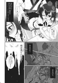 (C84) [Kuma-tan Flash! (Hanao.)] Mebius：last (Touhou Project)