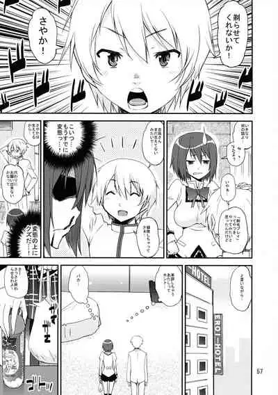 Raspberry millefeuille