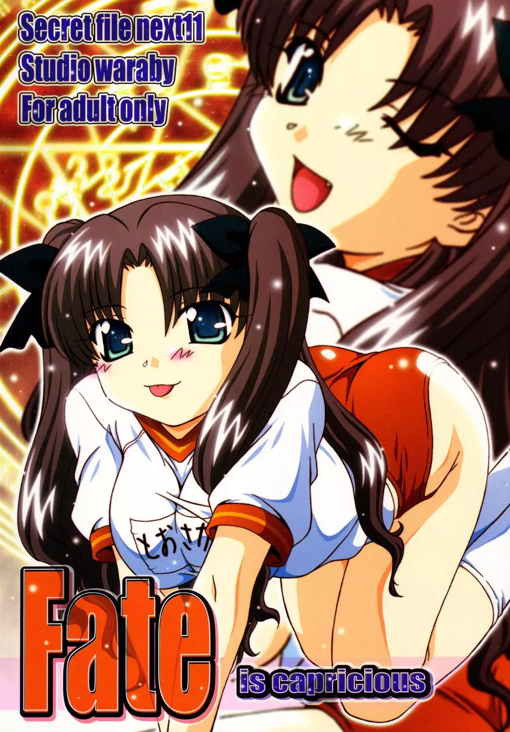 SECRET FILE NEXT 11 - Fate is capricious english cgrascal