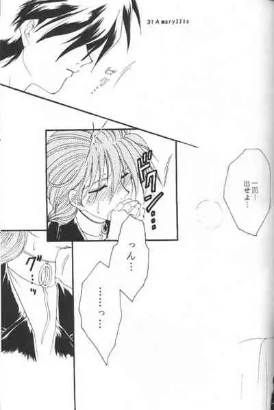 [Youkai Club (Hazuki Younosuke)] Amaryllis (Gundam Wing)