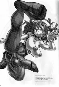 (C66) [Kakumei Seifu Kouhoushitsu (Various)] Nipponichi Futanari (Disgaea: Hour of Darkness)