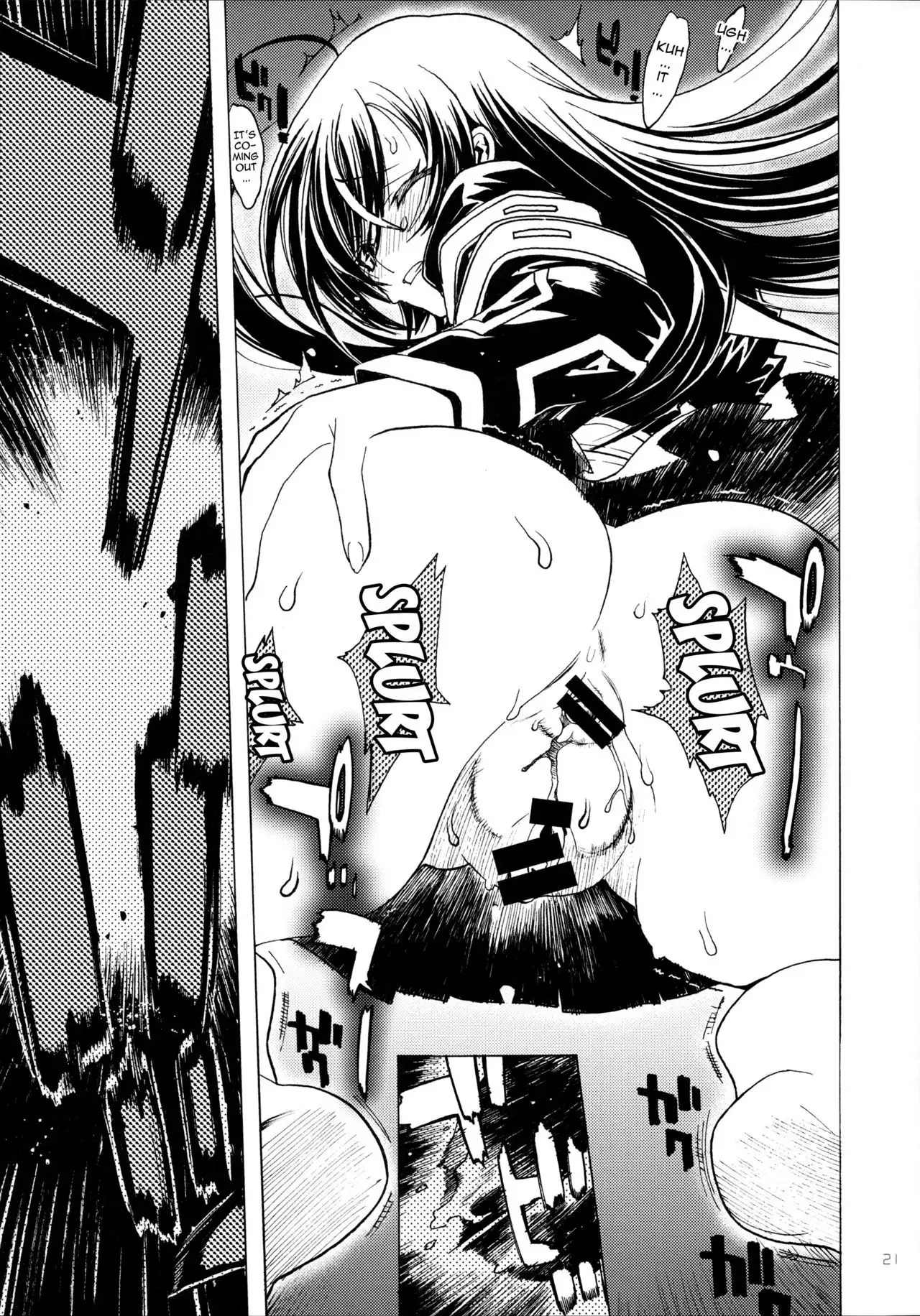 A SCHOOL OF KILLIFISH