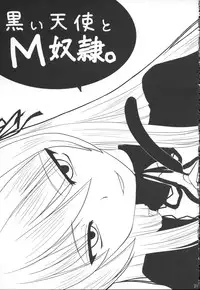 (C71) [Shin Hijiridou Honpo (Hijiri Tsukasa)] Bara to Tenshi to Onee-chan (Rozen Maiden)