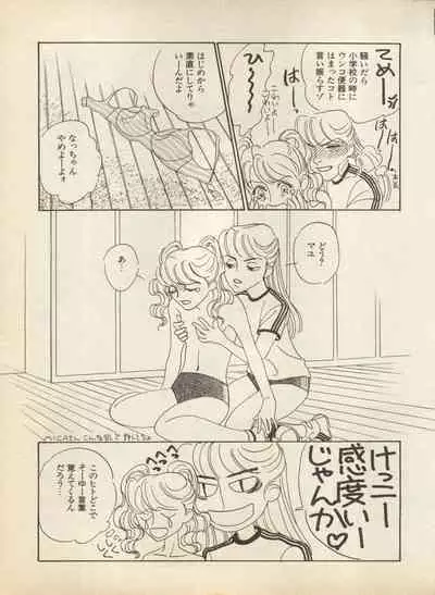 Shin Bishoujo Shoukougun 2 Mirai Hen