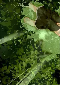 (C83) [Gainamon (Natsu no Koucha)] Nichijou Seikatsu - Rei - (Touhou Project)