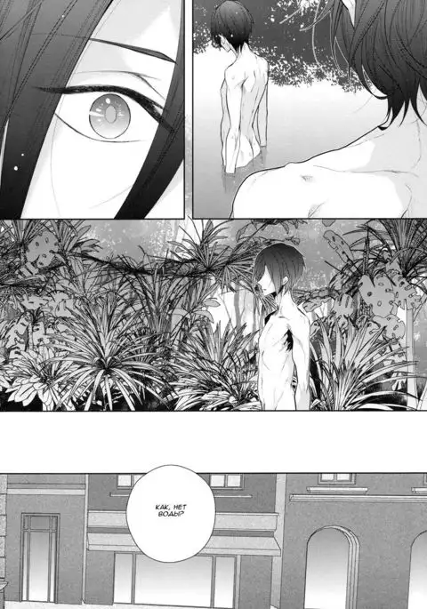 An Oasis In The Desert