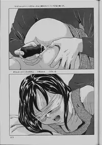 (C64) [Momonga Club (Hayashibara Hikari)] Momo-chan G-nensei