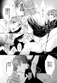 [Narcisse Noir] Goshujin-sama Choukyou Keikaku