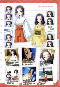 Maple Colors Fanside - Mediax Mook 238