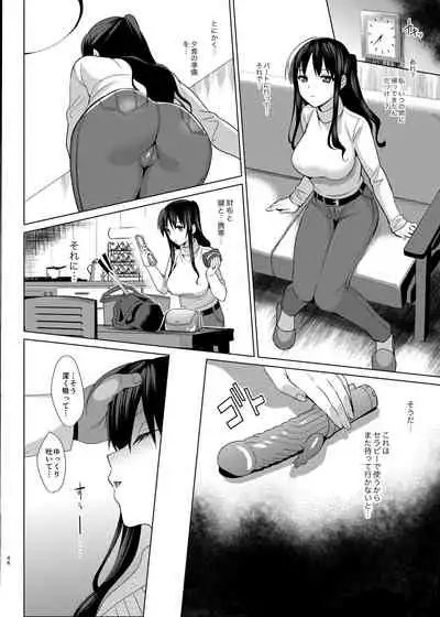 Mesmerism Soushuuhen