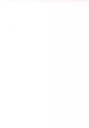 Do You Like Horny Bunnies? 2 (decensored)