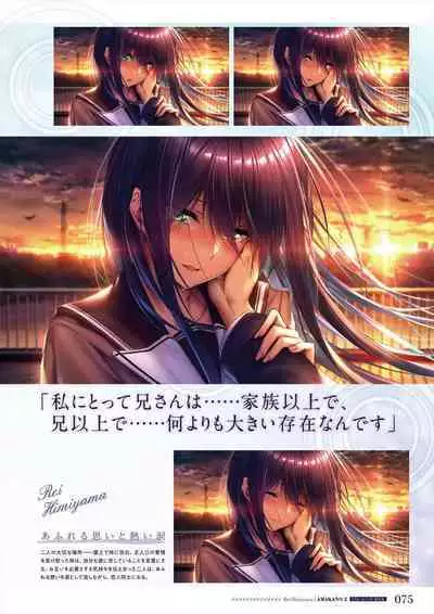 Amakano 2 Visual Fan Book