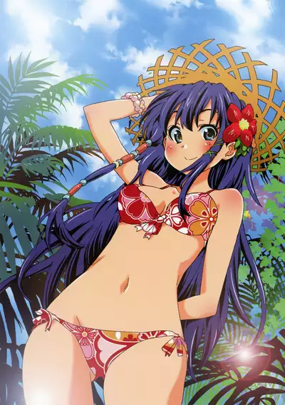 Toranoana Chronicle 2012