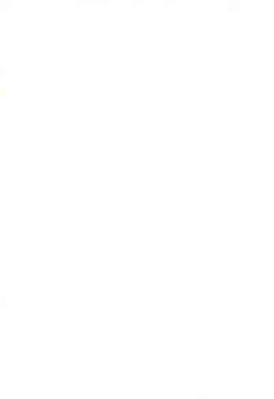 Kouin Tenshi Mochizuki