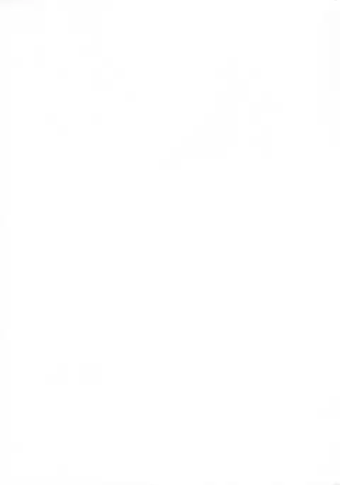 Nine to Five Lover 7-1