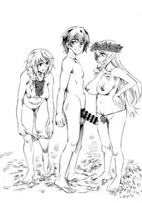 (C85) [Hi-per Pinch (clover)] N (IS <Infinite Stratos>) [Chinese] [final個人漢化]