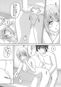 (SHT2012 Haru) [Kairaku Shuudan (Katou Kakashi)] if ~Aiefu~ Sono 1 (IS <Infinite Stratos>)