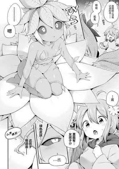 Morino h na shokubutsusan