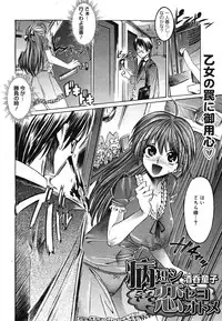 COMIC Mega GOLD 2007-07 Vol. 1