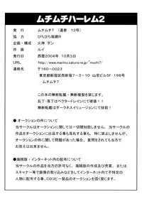 [MuchiMuchi7 (Rui)] MuchiMuchi Harem 2 (Darkstalkers) [Digital]