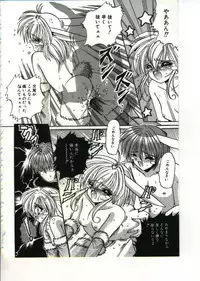 [Appleton] Fairy Paradise