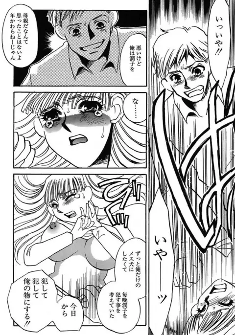 Ijou Seiyoku Mesuinu Toshite