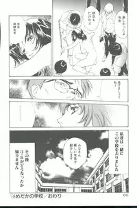 [Hazuki Kaoru] Clematis