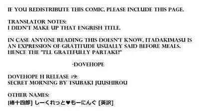[Tsubaki Jushirou] Secret Morning (Imouto Manual) [English] [Dovehope H]