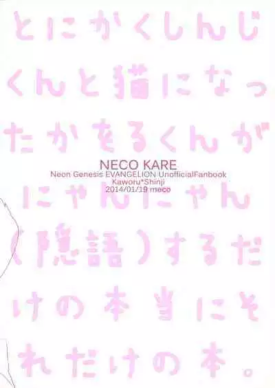 NECOKARE