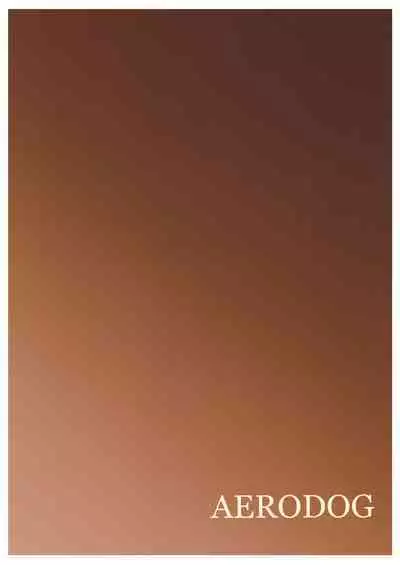 Straylight Enkou Gokko 1.5