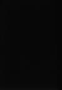 [Akow Kazumi] HYSTERIC ALIVE