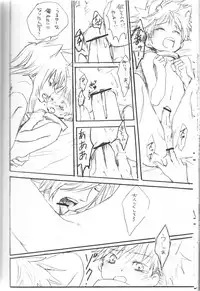 Peach Drop- Arco Iris