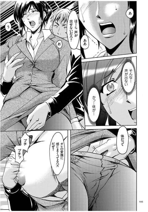 Sennyu Tsuma Satomi Kiroku