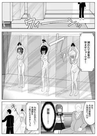 TS Osuru Seidorei ni naru 2