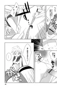 (Shotaket 10) [Tokuda (Ueda Yuu)] Hoshifuru Seisui (Dragon Quest V)