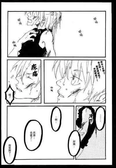 Heliotrope |日光菊