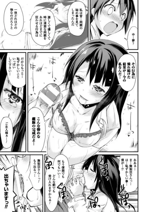 Cool Maso! Shitsukete Seitokaichou COMIC Edition